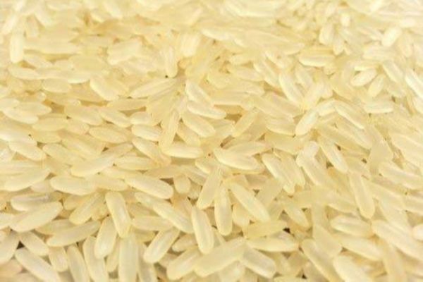 IR64 Rice